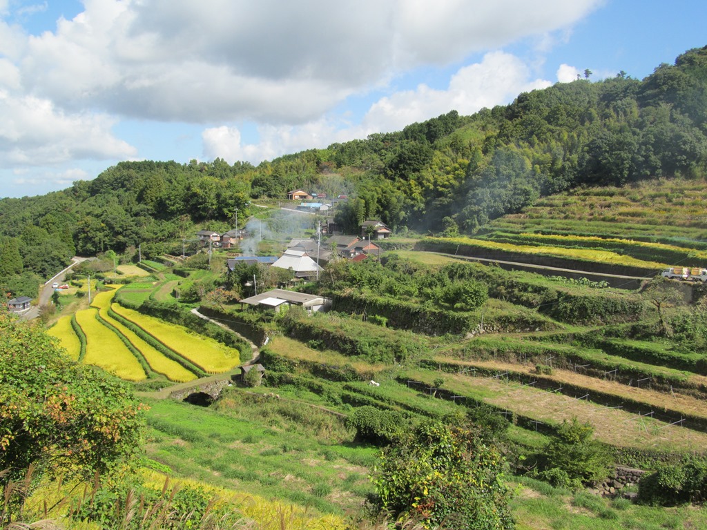 両合棚田