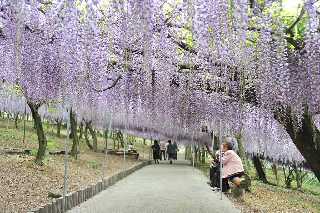 千財農園