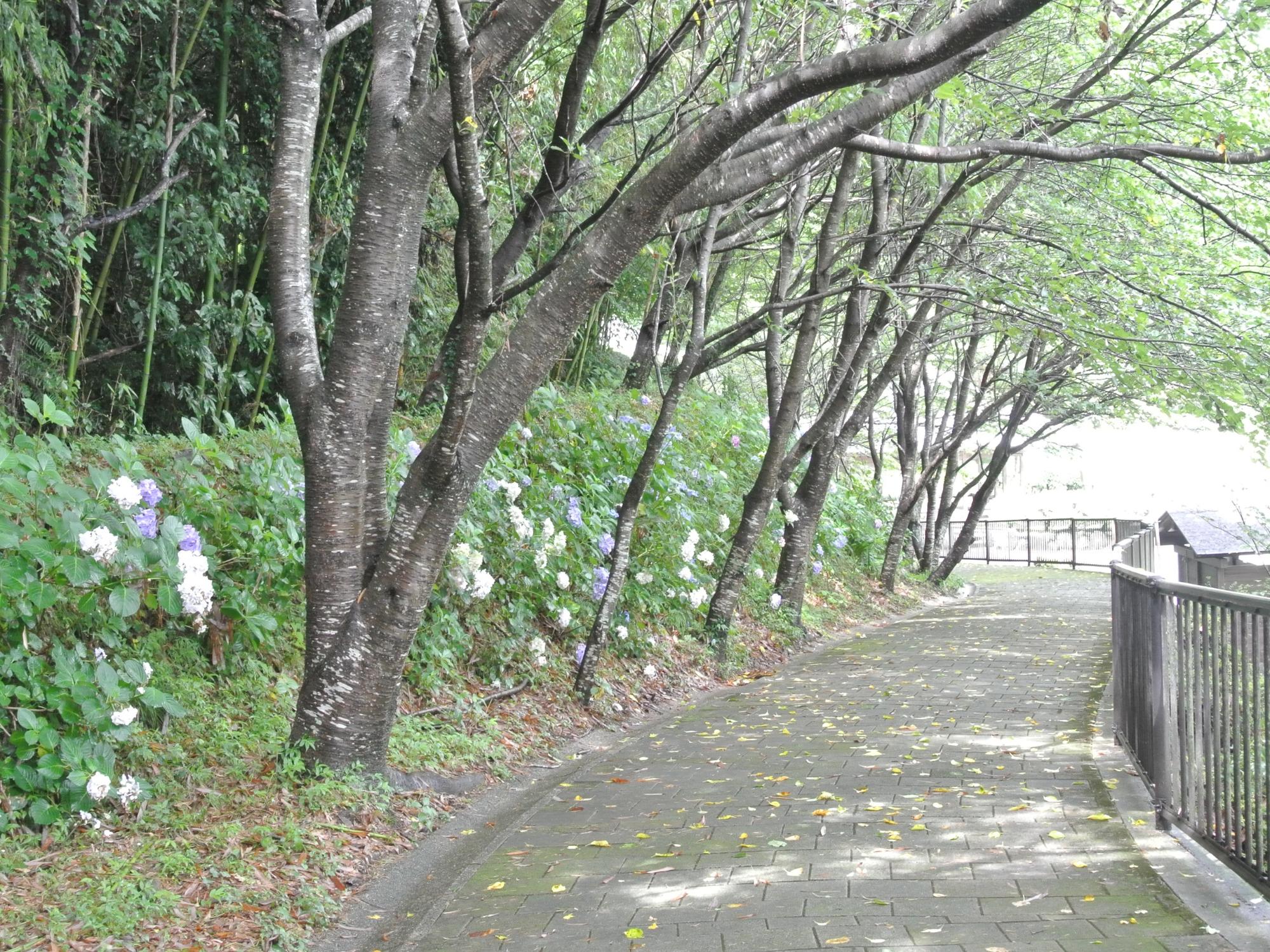 鷹栖つり橋