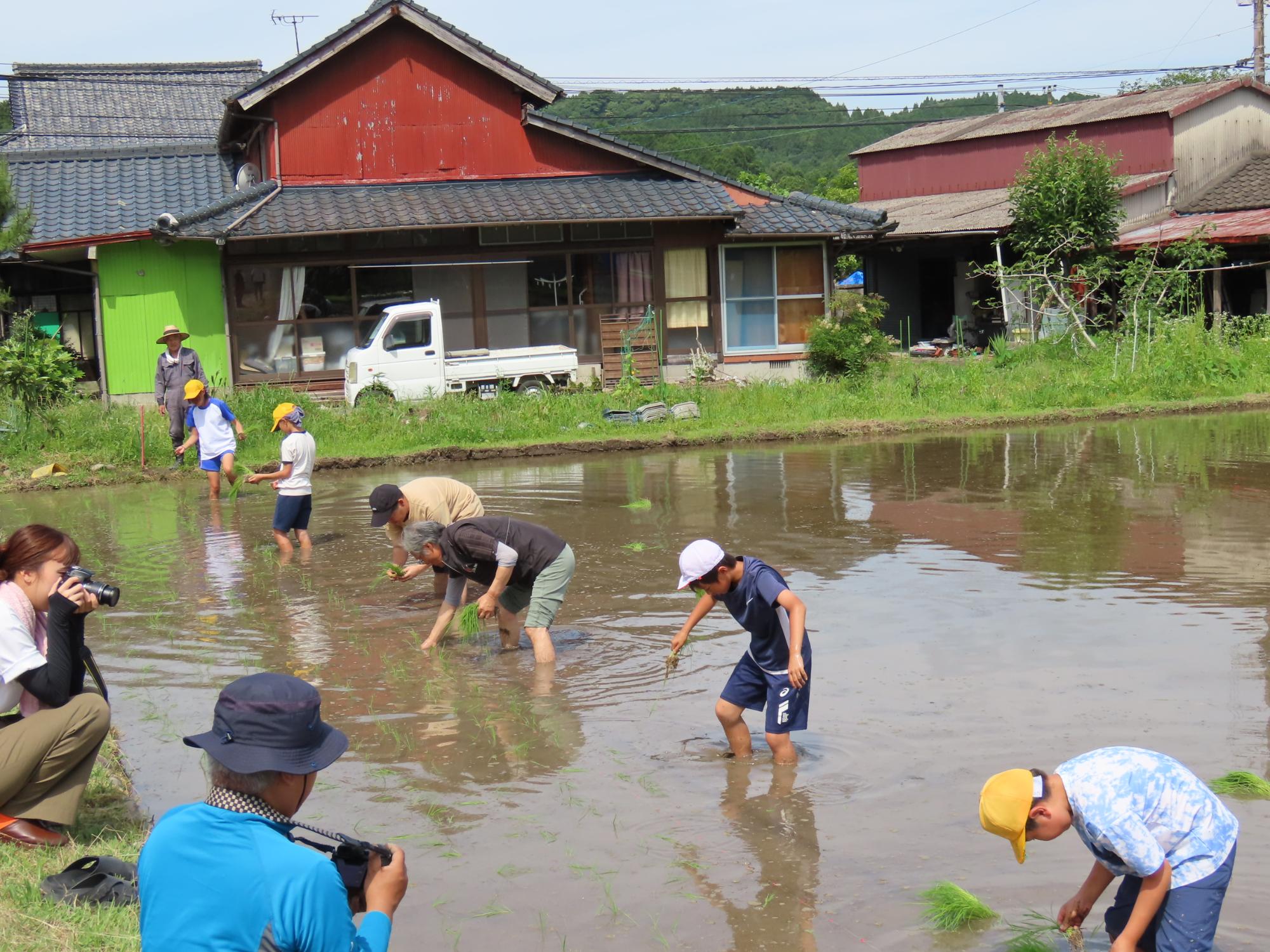 田植え作業中3