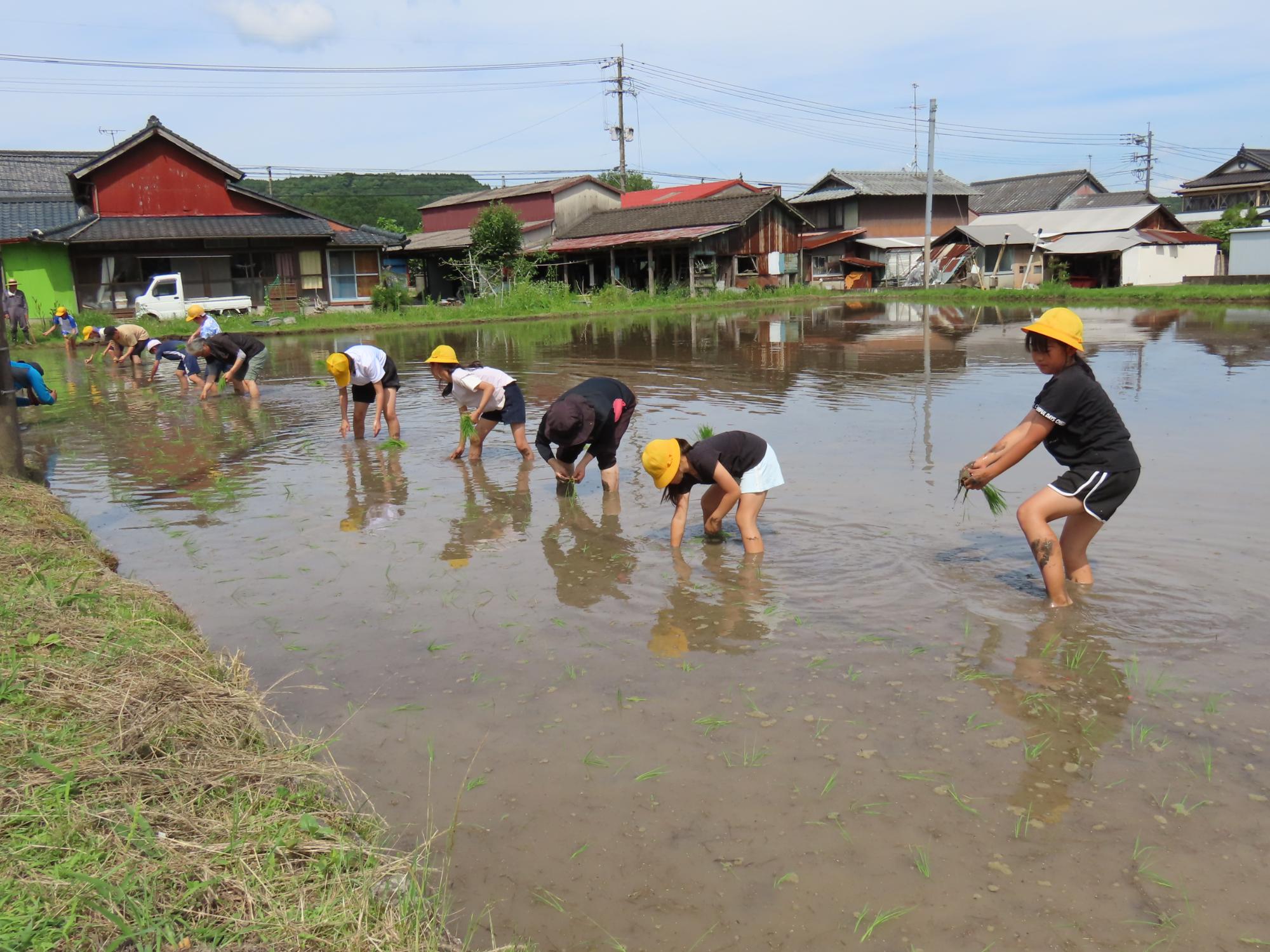 田植え作業中4