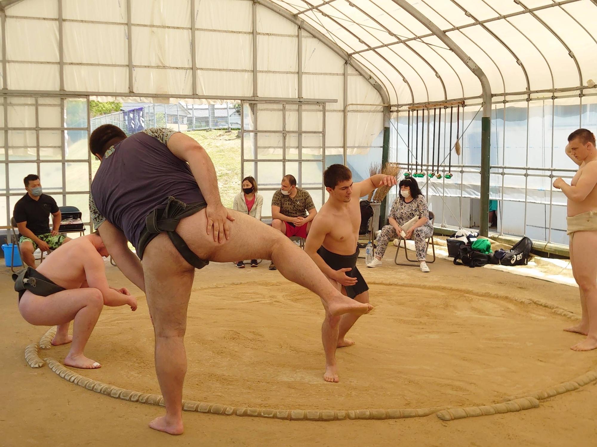 相撲ウクライナ代表チーム3日目01