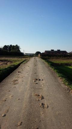 道路上の農耕車による土の写真2