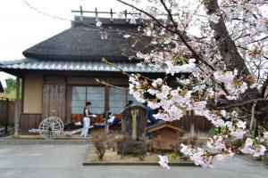 桜と双葉山生家