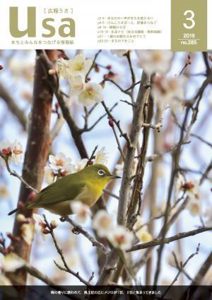 広報うさ平成31年3月号（表紙）