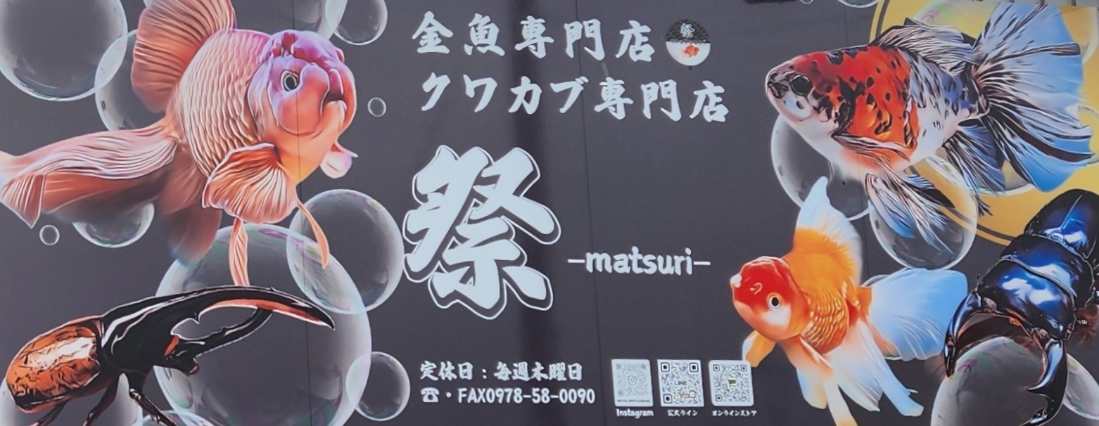 金魚・クワガタ専門店-祭-