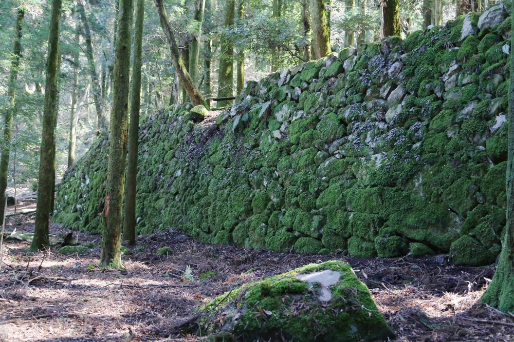 Ruins of the Omoto Rokubo (Six Temples of Mt. Omoto)