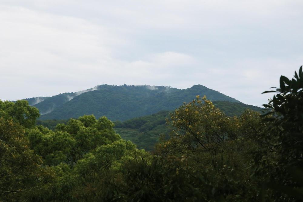 上宮から見た御許山