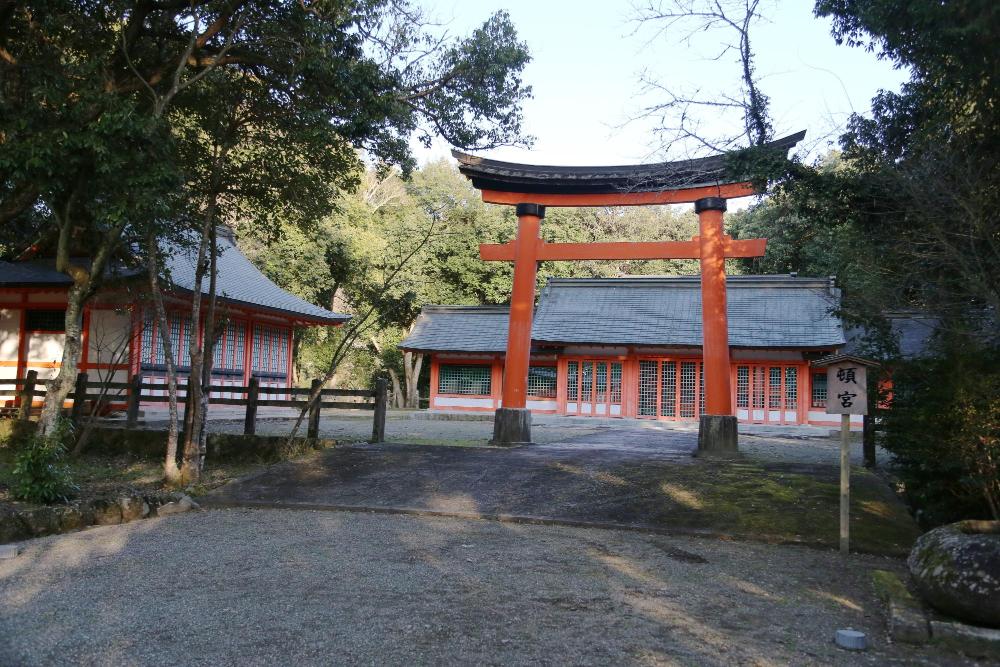 Tongu