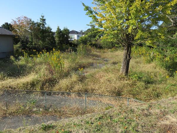 小山田記念公園before