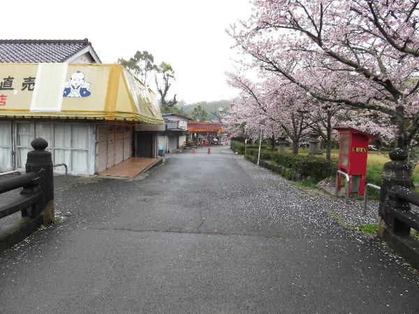 白橋参道before