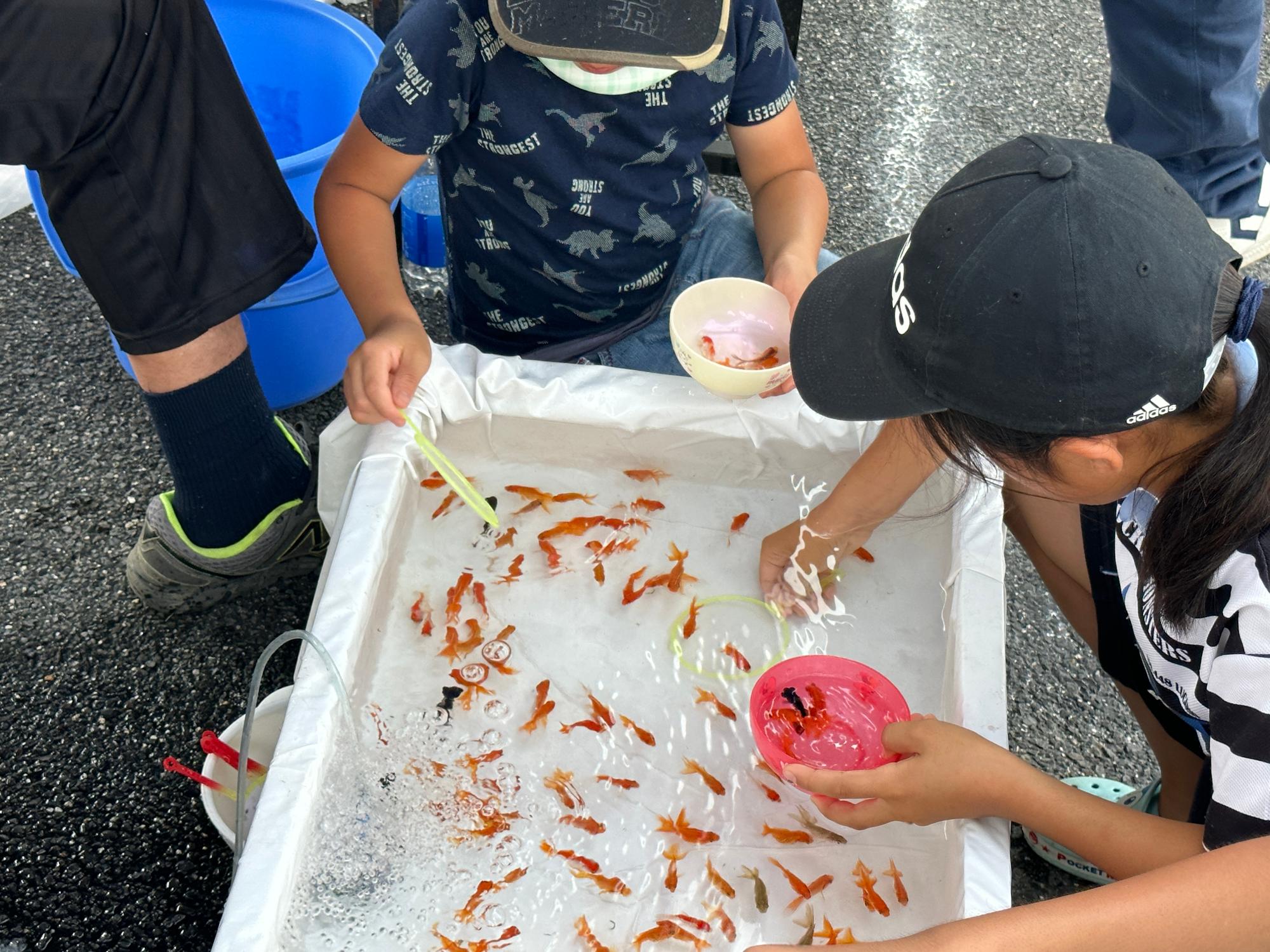 金魚すくい