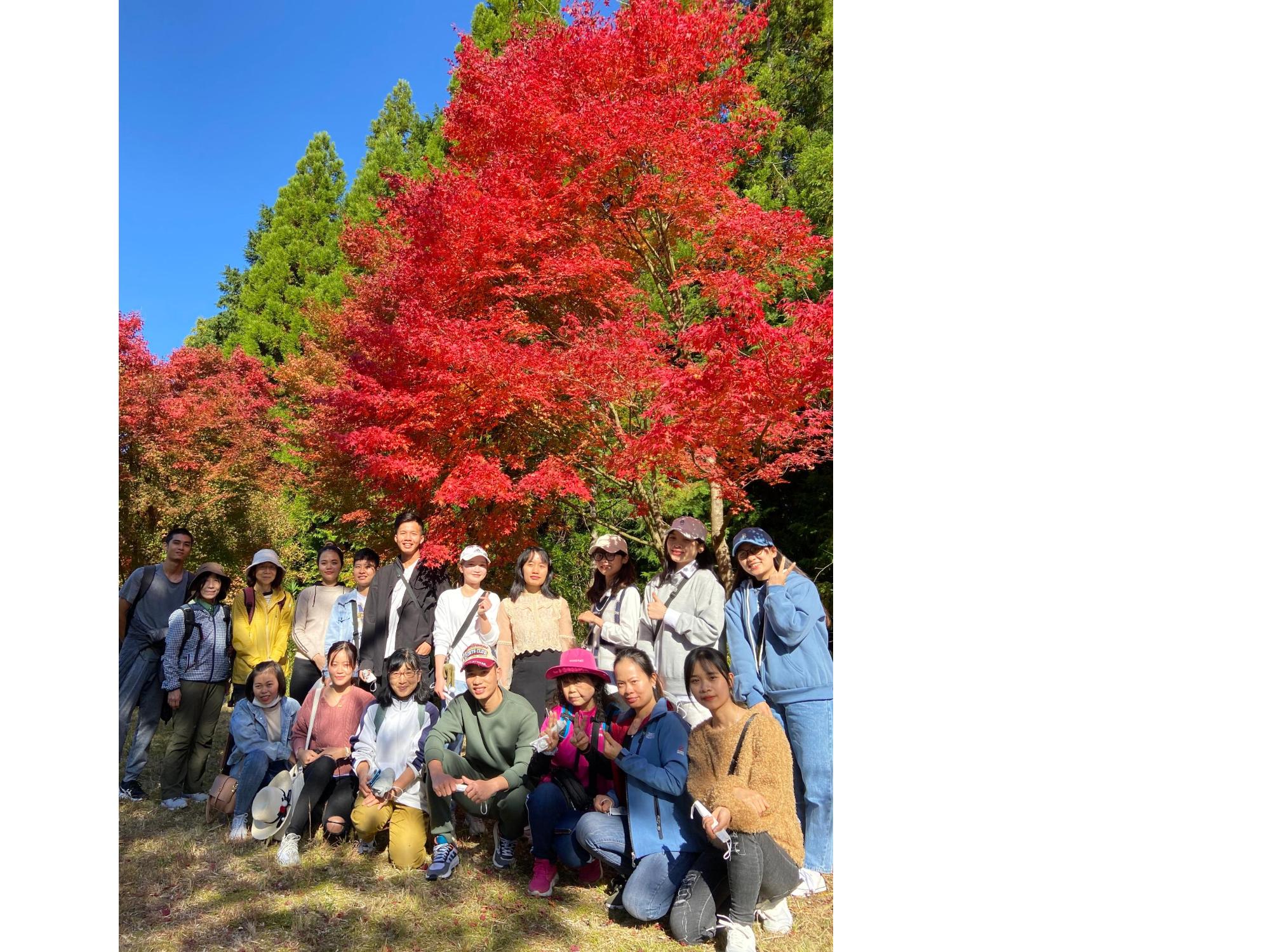 紅葉と参加者