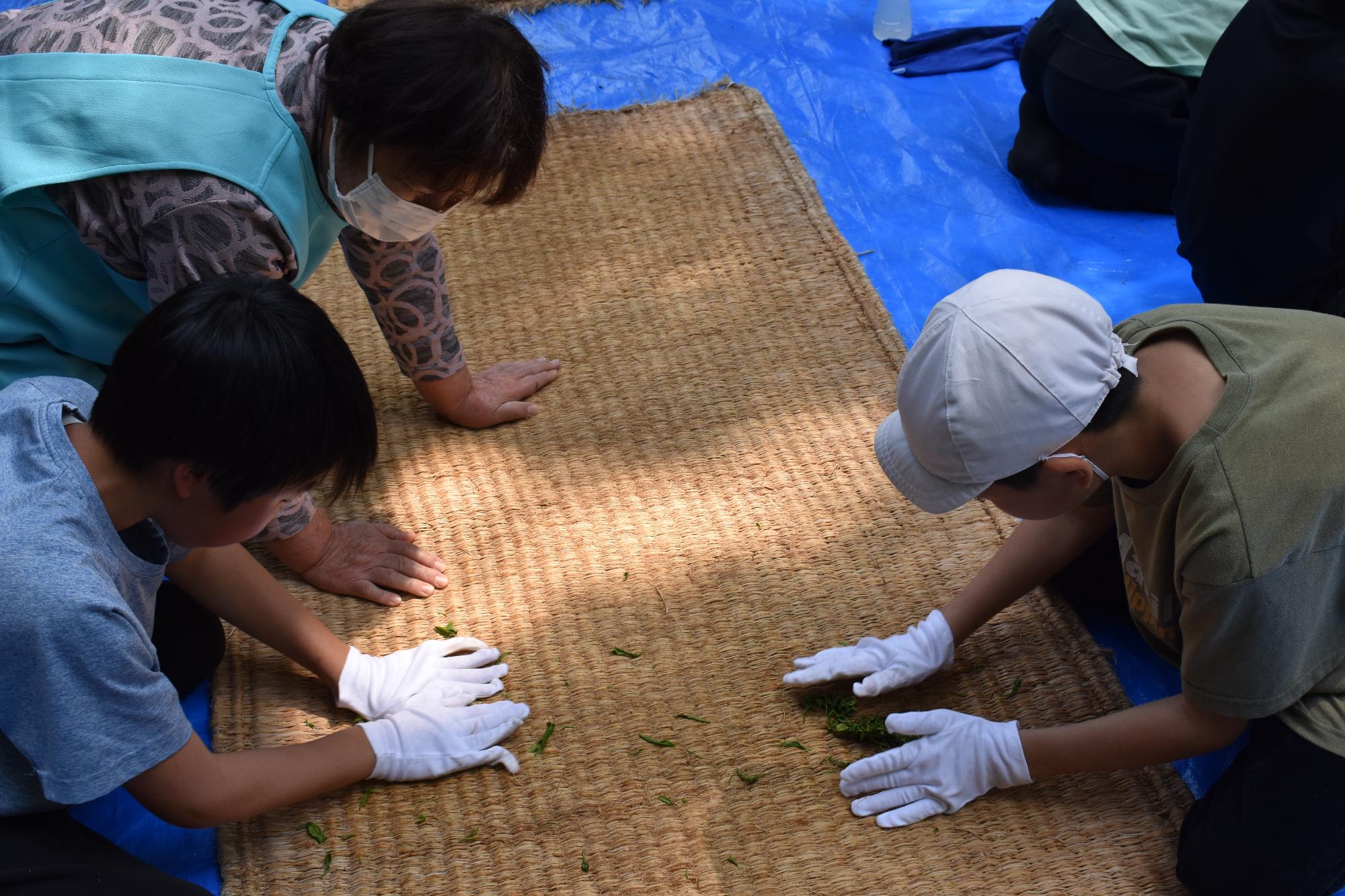 茶葉揉み