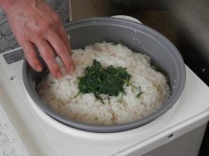 もちつき機にもち米とヨモギを入れる