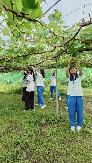 hiokoshi