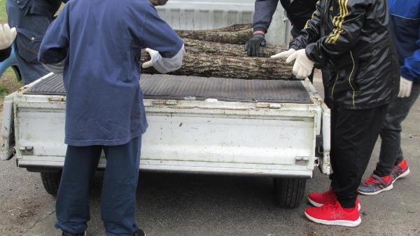 椎茸に関する授業 地域の人と協力してほだ木を移動