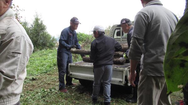 椎茸に関する授業 ほだ木の積み下ろし