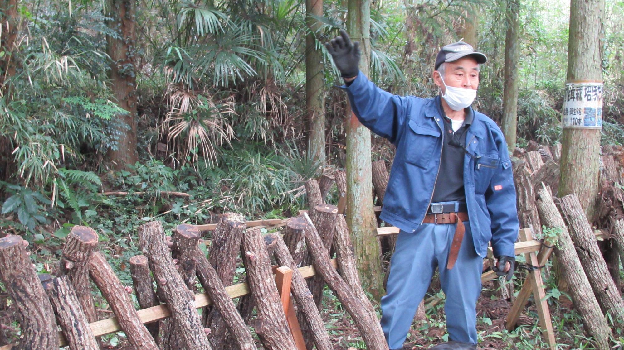 椎茸に関する授業 ほだ場でもうひと授業