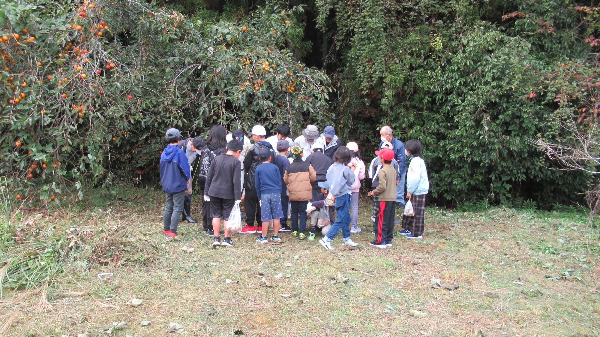 椎茸に関する授業 地域の皆さんありがとうございます。