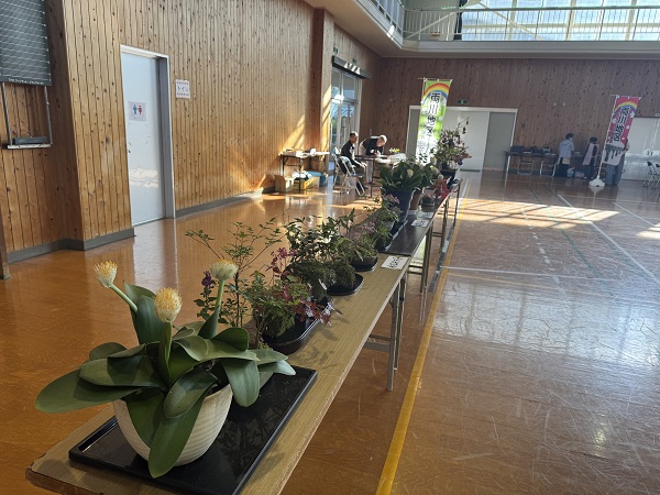 菊花展 盆栽・山野草展の写真