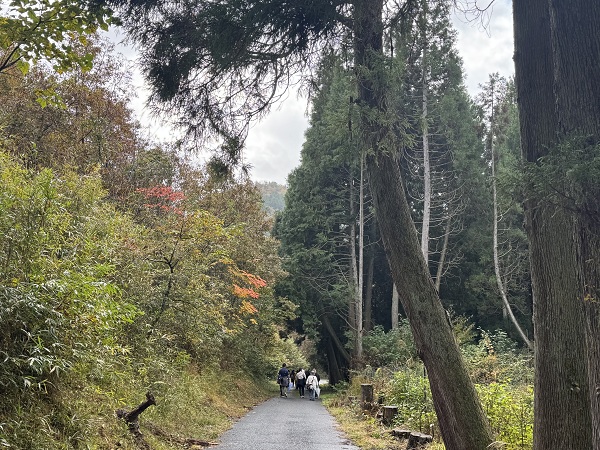R7岳切渓谷紅葉ウォーキング 不動岩までの道中
