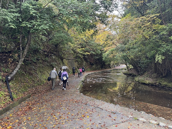R7岳切渓谷紅葉ウォーキング 大飛の滝までの道中